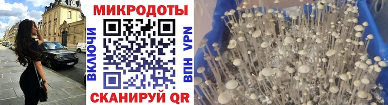 Псилоцибиновые грибы прущие грибы  купить наркоту  omg маркетплейс  Жуковский 