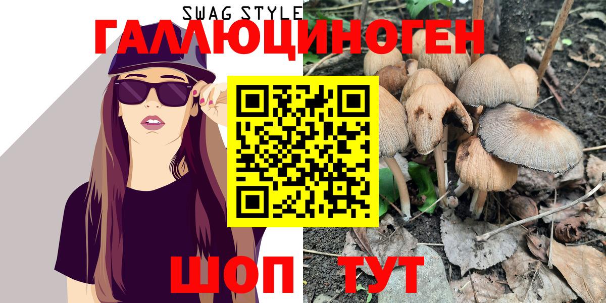 Псилоцибиновые грибы Psilocybe Жуковский
