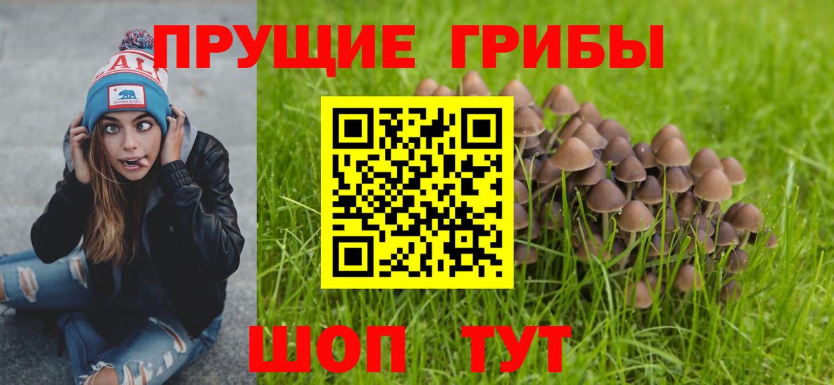 Псилоцибиновые грибы GOLDEN TEACHER  Псилоцибиновые грибы мухоморы  Вход с VPN  Жуковский 
